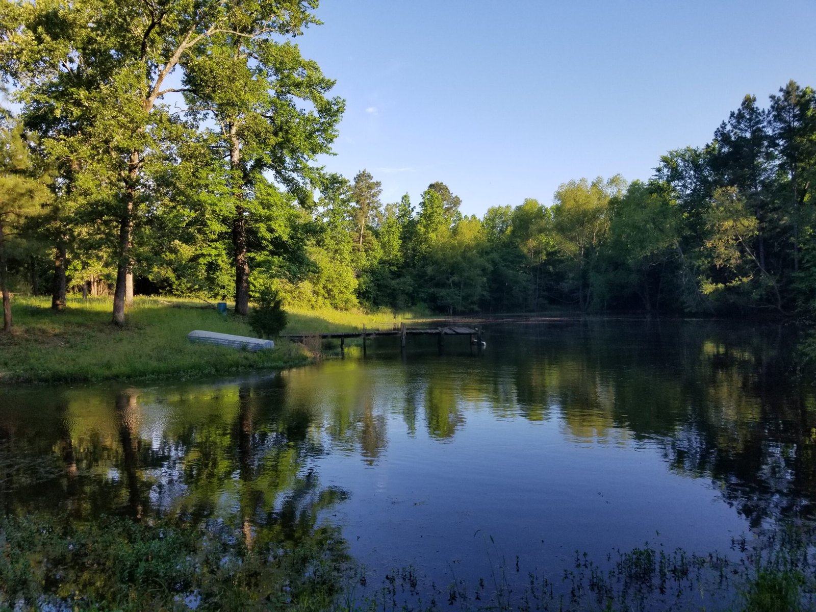 The Pond