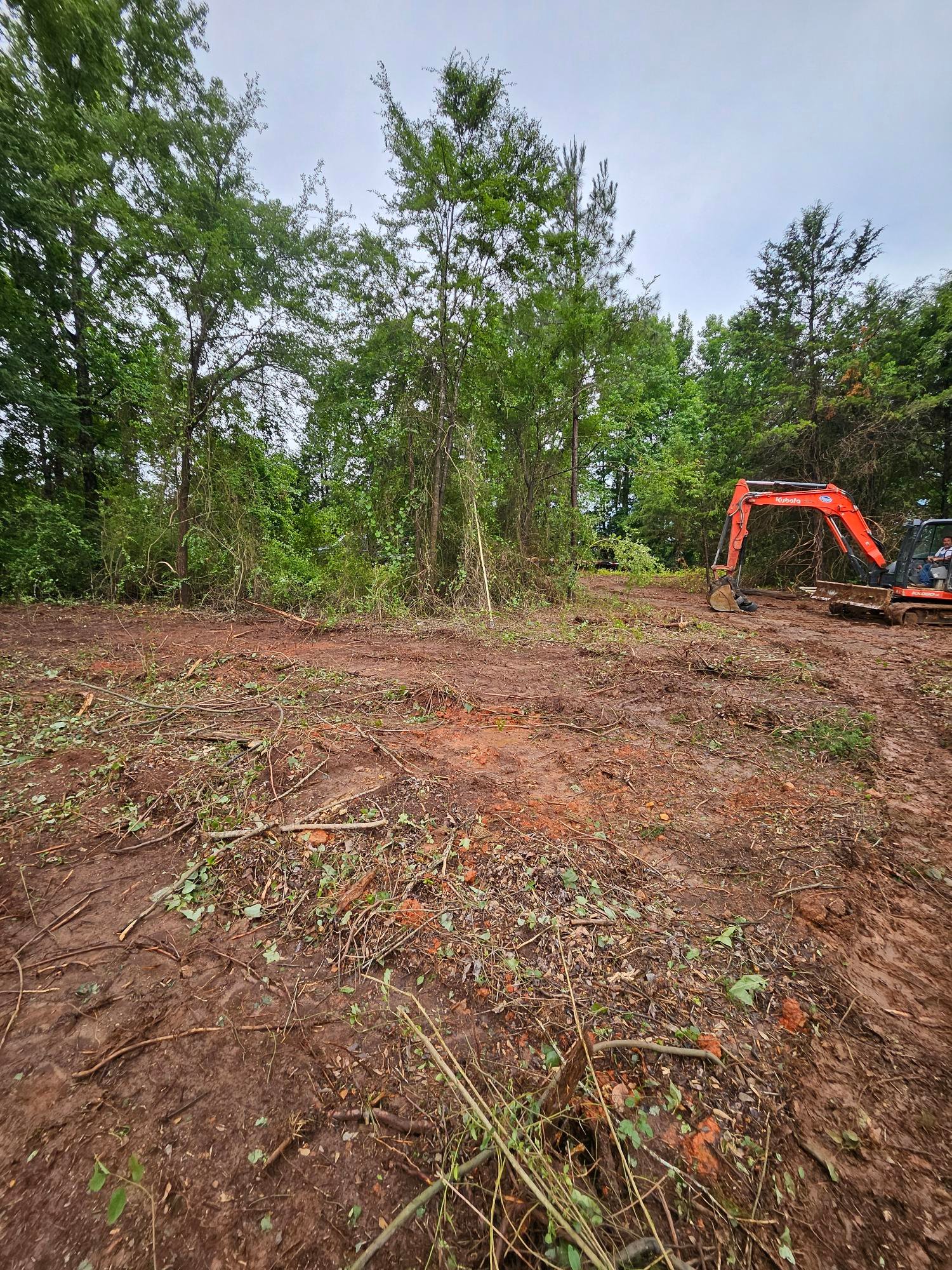 TDR Clearing